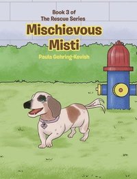 bokomslag Mischievous Misti