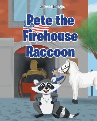 Pete the Firehouse Raccoon 1