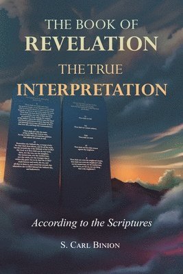 bokomslag The Book of Revelation