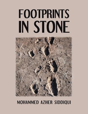 bokomslag Footprints in Stone