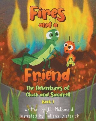 Fires and a Friend 1