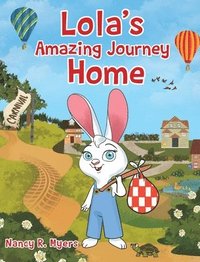 bokomslag Lola's Amazing Journey Home