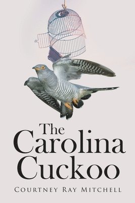 bokomslag Carolina Cuckoo