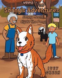 bokomslag Sonny's Adventures