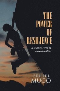 bokomslag The Power of Resilience