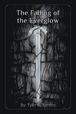 The Fading of The Everglow 1