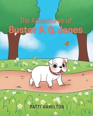 bokomslag The Adventures of Buster P.Q. Jones