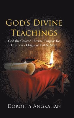 bokomslag God's Divine Teachings