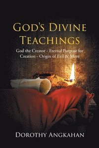 bokomslag God's Divine Teachings