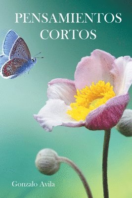 Pensamientos Cortos 1