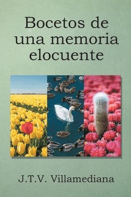 bokomslag Bocetos de una memoria elocuente