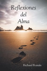 bokomslag Reflexiones del Alma