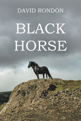 Black Horse 1