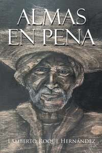 bokomslag Almas en Pena