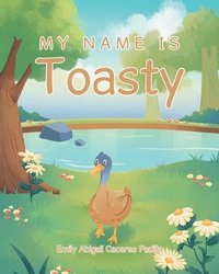 bokomslag My Name IS Toasty