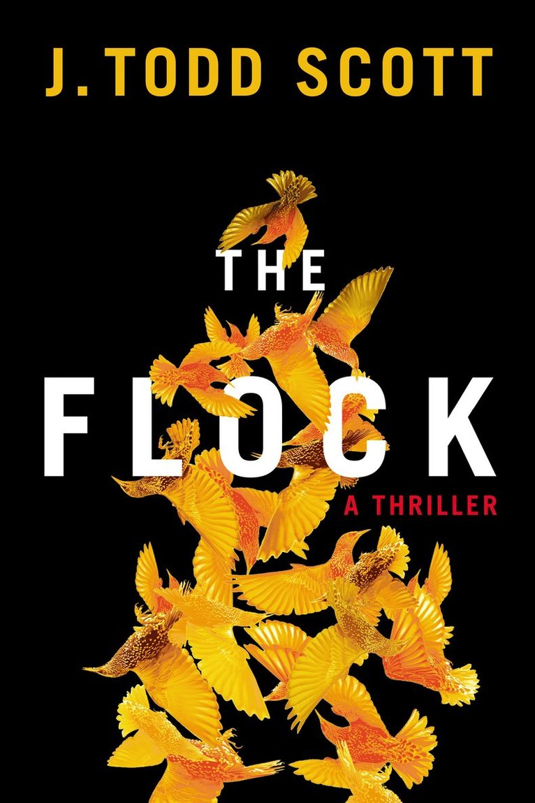 Flock