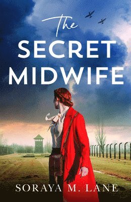 The Secret Midwife 1