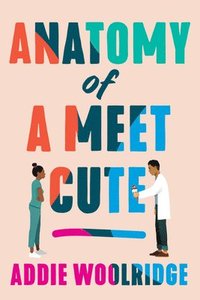bokomslag Anatomy of a Meet Cute