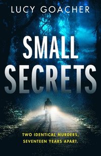 bokomslag Small Secrets