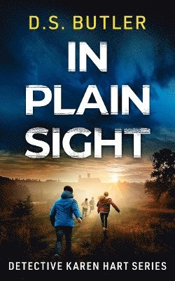 In Plain Sight 1