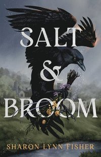 bokomslag Salt & Broom