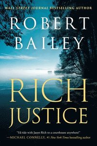 bokomslag Rich Justice