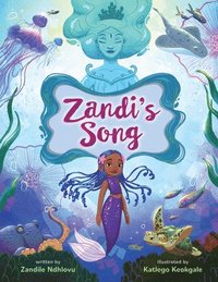 bokomslag Zandi's Song