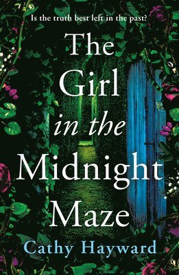 The Girl in the Midnight Maze 1