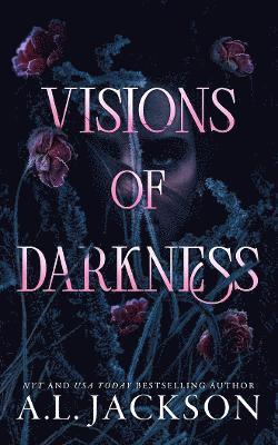 bokomslag Visions of Darkness