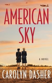 bokomslag American Sky