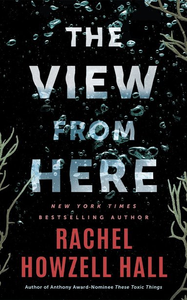 Rachel Howzell Hall - View from Here, Häftad
