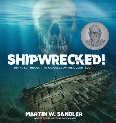 bokomslag Shipwrecked!