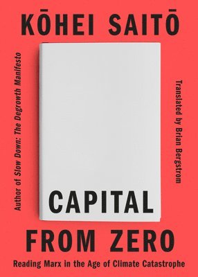 Capital from Zero: Reading Marx in the Age of Climate Catastrophe