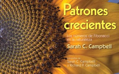 bokomslag Patrones Crecientes (Growing Patterns)