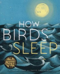 bokomslag How Birds Sleep