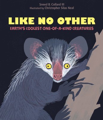 bokomslag Like No Other: Earth's Coolest One-Of-A-Kind Creatures