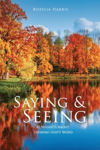 bokomslag Saying & Seeing