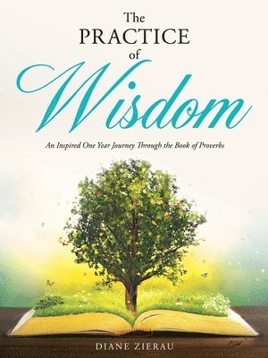 bokomslag Practice of Wisdom