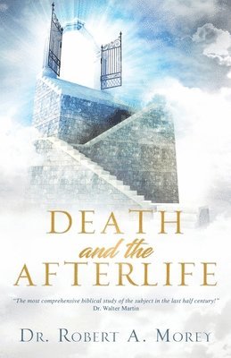 bokomslag Death and the Afterlife