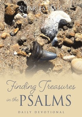 Charles Hall - Finding Treasures in the Psalms, Häftad