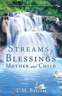 bokomslag Streams of Blessings Mother and Child