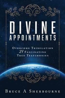 bokomslag Divine Appointments