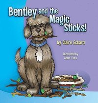 bokomslag Bentley and the Magic Sticks