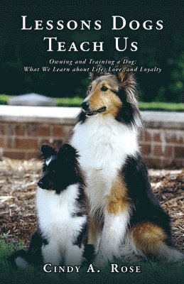 bokomslag Lessons Dogs Teach Us
