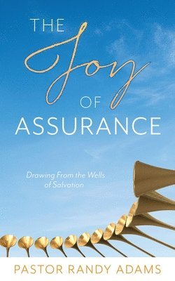 bokomslag The Joy of Assurance