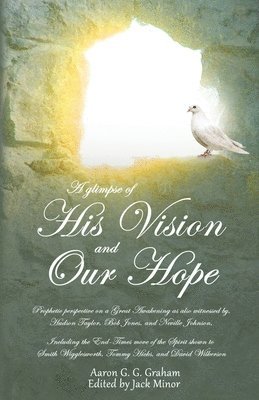 A glimpse of His Vision and Our Hope 1