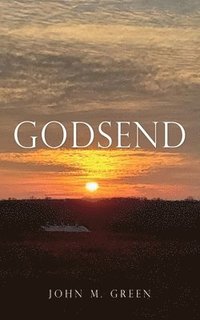 bokomslag Godsend