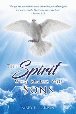 bokomslag The Spirit Who Makes you Sons