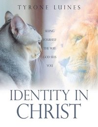 bokomslag Identity in Christ