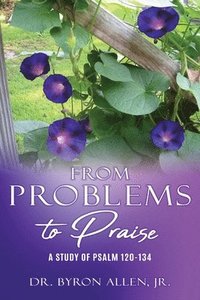 bokomslag From Problems to Praise